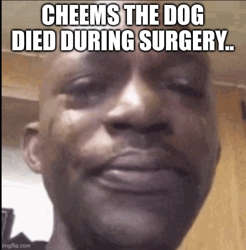Rip cheems | CHEEMS THE DOG DIED DURING SURGERY.. | image tagged in crying black dude | made w/ Imgflip meme maker