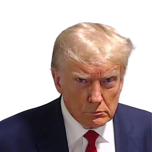 High Quality Trump Mugshot Blank Meme Template