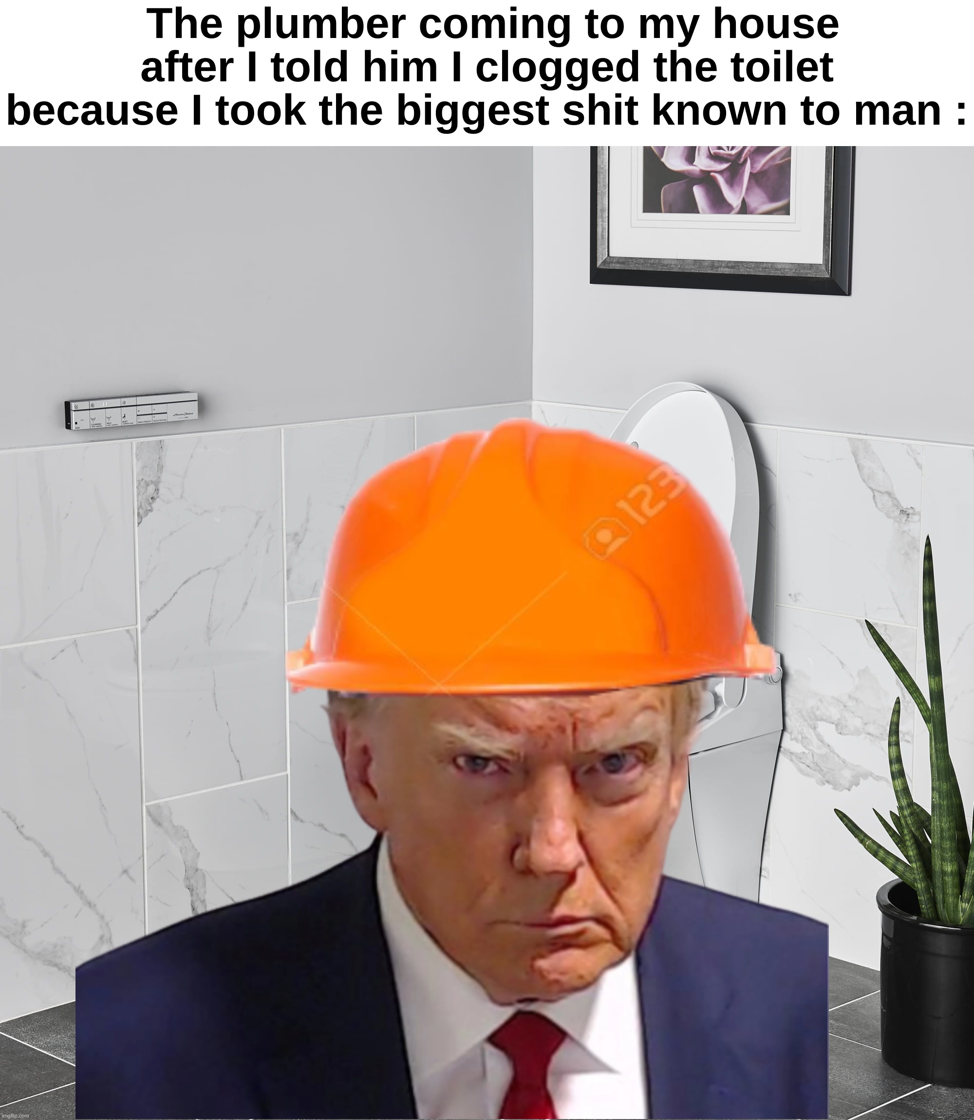 Mods, Don't mark this nsfw. It's only moderate swearing | The plumber coming to my house after I told him I clogged the toilet because I took the biggest shit known to man : | image tagged in memes,funny,plumber,trump,poo,front page plz | made w/ Imgflip meme maker