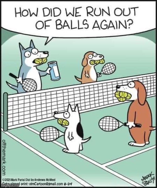 Tennis dogs | image tagged in tennis,balls | made w/ Imgflip meme maker