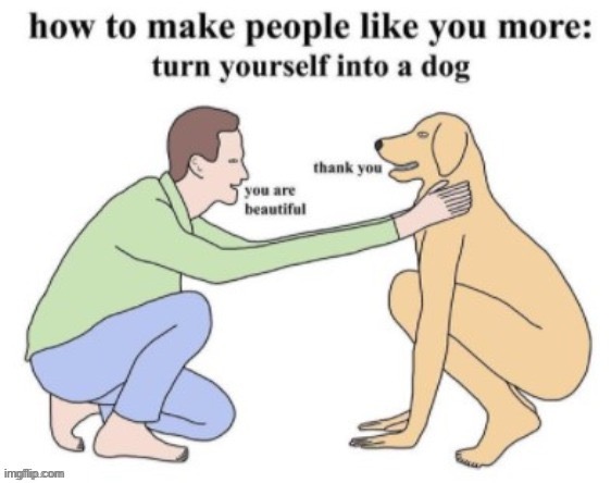 How to be popular | image tagged in popular,dog | made w/ Imgflip meme maker