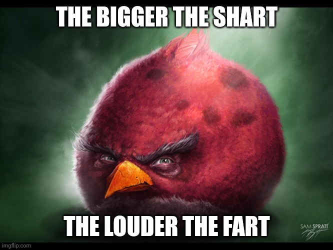 Absolute truth | THE BIGGER THE SHART; THE LOUDER THE FART | image tagged in realistic angry bird big red,angry birds,memes,shitpost | made w/ Imgflip meme maker