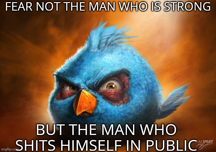 This is probably the most rational angry birds meme you're gonna see made by me | FEAR NOT THE MAN WHO IS STRONG; BUT THE MAN WHO SHITS HIMSELF IN PUBLIC | image tagged in angry birds blue,angry birds,memes,shitpost | made w/ Imgflip meme maker