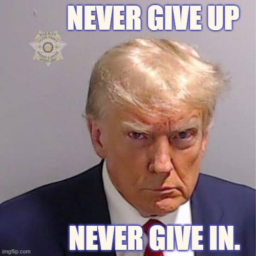 The Look | NEVER GIVE UP; NEVER GIVE IN. | image tagged in trump mugshot,memes,politics,the look,never give up,in | made w/ Imgflip meme maker