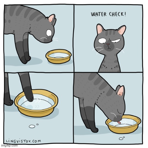 A Cats Way Of Thinking | image tagged in memes,comics/cartoons,cats,touching,water,check | made w/ Imgflip meme maker