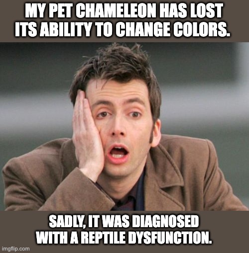 Reptile | MY PET CHAMELEON HAS LOST ITS ABILITY TO CHANGE COLORS. SADLY, IT WAS DIAGNOSED WITH A REPTILE DYSFUNCTION. | image tagged in face palm | made w/ Imgflip meme maker
