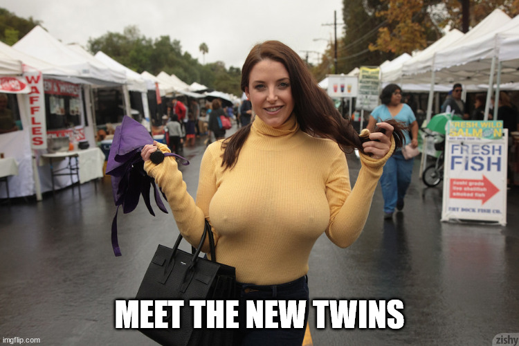 busty & braless with hard nipples | MEET THE NEW TWINS | image tagged in busty braless with hard nipples | made w/ Imgflip meme maker