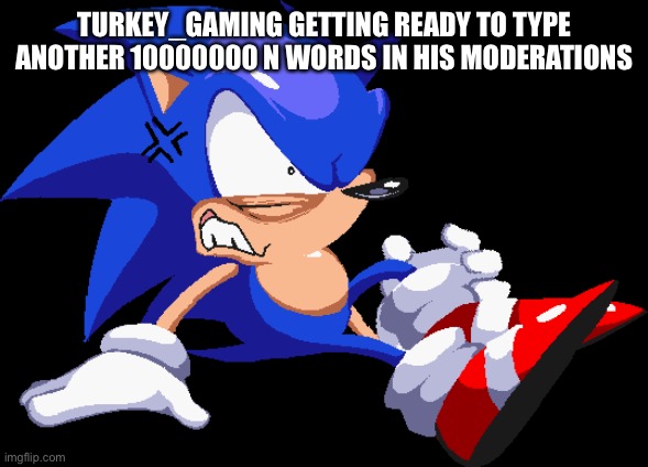 (note to mod: i forgor about that) | TURKEY_GAMING GETTING READY TO TYPE ANOTHER 10000000 N WORDS IN HIS MODERATIONS | made w/ Imgflip meme maker