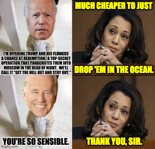 Better half. | MUCH CHEAPER TO JUST; DROP 'EM IN THE OCEAN. YOU'RE SO SENSIBLE. THANK YOU, SIR. | image tagged in kamala harris,joe biden,memes,justice | made w/ Imgflip meme maker