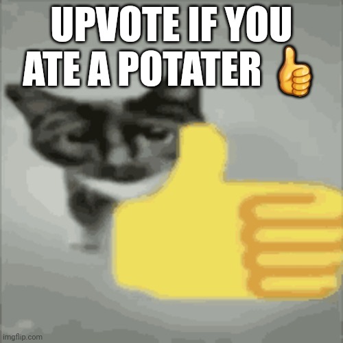 cat thumbs up | UPVOTE IF YOU
ATE A POTATER 👍 | image tagged in cat thumbs up | made w/ Imgflip meme maker