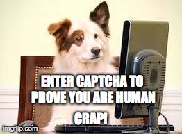 ENTER CAPTCHA TO PROVE YOU ARE HUMAN CRAP! | image tagged in alarmingly critical talking dog | made w/ Imgflip meme maker