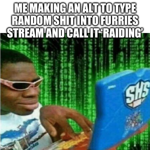 20 upvotes and I put this in fun | ME MAKING AN ALT TO TYPE RANDOM SHIT INTO FURRIES STREAM AND CALL IT ‘RAIDING’ | image tagged in hacker meme | made w/ Imgflip meme maker