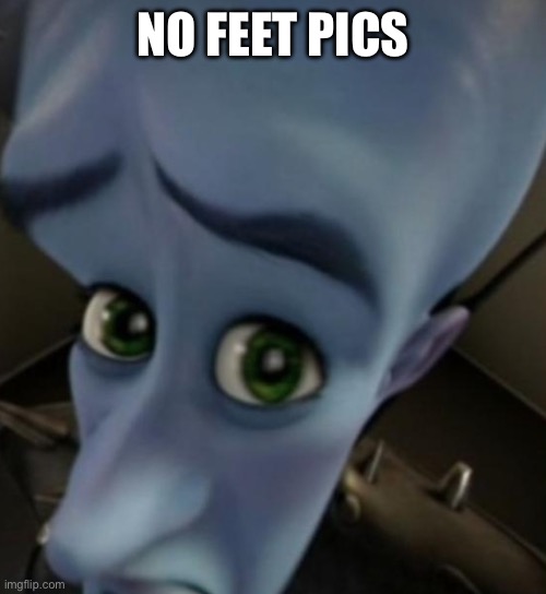 Megamind no bitches | NO FEET PICS | image tagged in megamind no bitches | made w/ Imgflip meme maker
