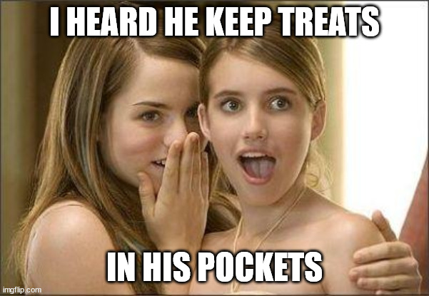 Girls gossiping | I HEARD HE KEEP TREATS IN HIS POCKETS | image tagged in girls gossiping | made w/ Imgflip meme maker