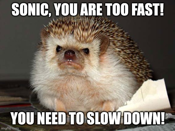 Angry Hedgehog | SONIC, YOU ARE TOO FAST! YOU NEED TO SLOW DOWN! | image tagged in angry hedgehog | made w/ Imgflip meme maker