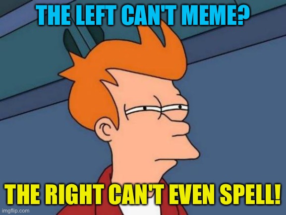 Futurama Fry Meme | THE LEFT CAN'T MEME? THE RIGHT CAN'T EVEN SPELL! | image tagged in memes,futurama fry | made w/ Imgflip meme maker