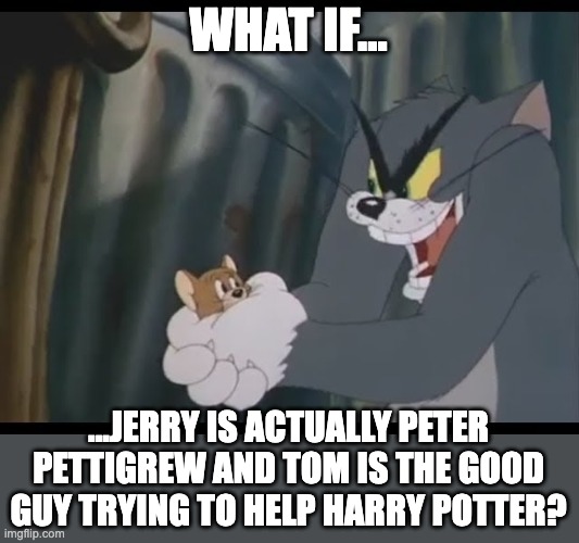 What if, indeed...? | WHAT IF... ...JERRY IS ACTUALLY PETER PETTIGREW AND TOM IS THE GOOD GUY TRYING TO HELP HARRY POTTER? | image tagged in tom curses laugh,tom and jerry,harry potter,what if | made w/ Imgflip meme maker