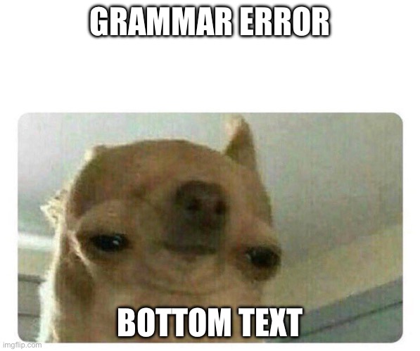 dog bark grammar error | GRAMMAR ERROR BOTTOM TEXT | image tagged in dog bark grammar error | made w/ Imgflip meme maker