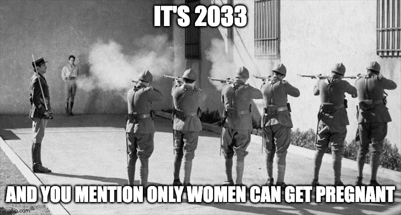 Agenda 2030 | IT'S 2033; AND YOU MENTION ONLY WOMEN CAN GET PREGNANT | image tagged in execution,transgender,pregnant men,lgbtq | made w/ Imgflip meme maker