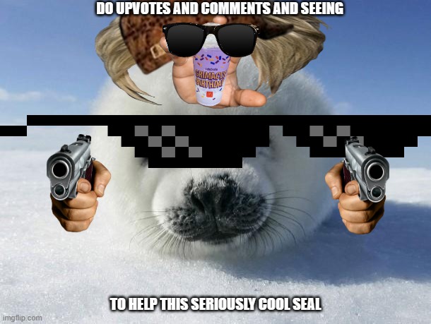 Seal Of Approval | DO UPVOTES AND COMMENTS AND SEEING; TO HELP THIS SERIOUSLY COOL SEAL | image tagged in seal of approval | made w/ Imgflip meme maker