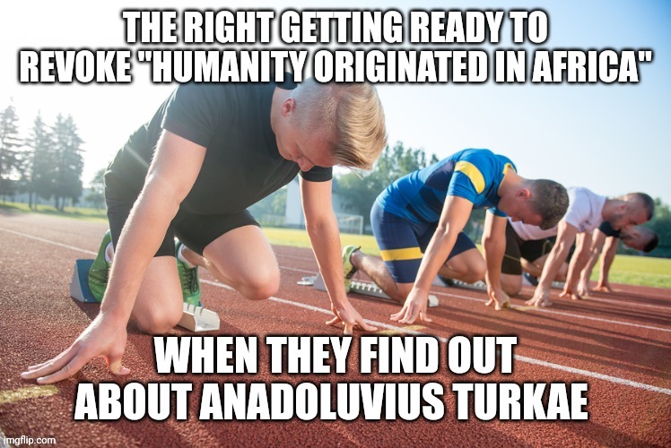 LastDomino2Fall | image tagged in track,human evolution | made w/ Imgflip meme maker