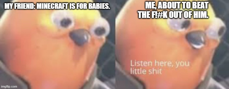 minecraft is good | ME, ABOUT TO BEAT THE F!#K OUT OF HIM. MY FRIEND: MINECRAFT IS FOR BABIES. | image tagged in listen here you little shit bird | made w/ Imgflip meme maker