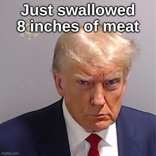 Nice sausage from 7/11 | Just swallowed 8 inches of meat | image tagged in trump mugshot | made w/ Imgflip meme maker