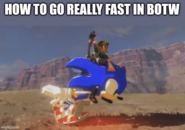 Use a sonic mod | HOW TO GO REALLY FAST IN BOTW | image tagged in sonic the hedgehog,mods,the legend of zelda breath of the wild | made w/ Imgflip meme maker