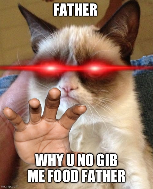 But why?? | FATHER; WHY U NO GIB ME FOOD FATHER | image tagged in memes,grumpy cat | made w/ Imgflip meme maker