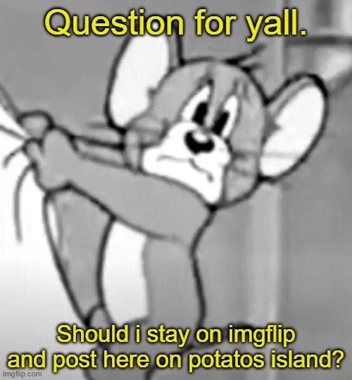 awww the skrunkly | Question for yall. Should i stay on imgflip and post here on potatos island? | image tagged in awww the skrunkly | made w/ Imgflip meme maker