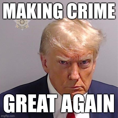 "Nobody does crime better than me. I know more about doing crimes than anyone. I'm the king of crime. Believe me." | MAKING CRIME; GREAT AGAIN | image tagged in donald trump,mugshot,criminal,maga,crime,stupid criminals | made w/ Imgflip meme maker