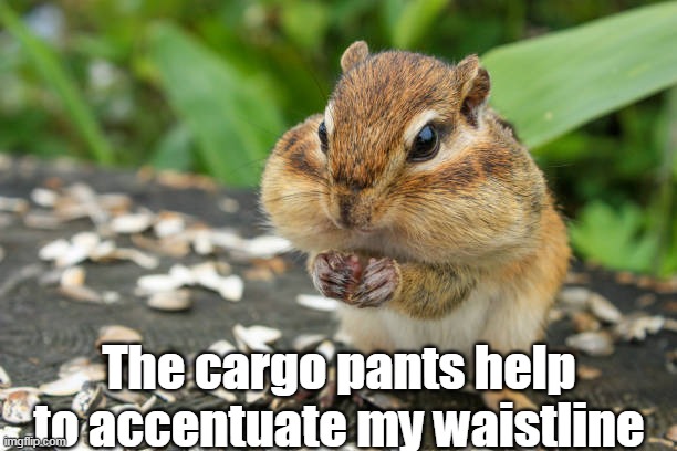 The cargo pants help to accentuate my waistline | made w/ Imgflip meme maker