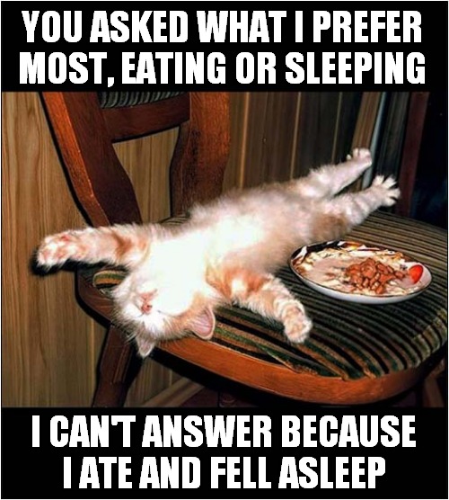 A Typical Cat ! | YOU ASKED WHAT I PREFER MOST, EATING OR SLEEPING; I CAN'T ANSWER BECAUSE I ATE AND FELL ASLEEP | image tagged in cats,eating,sleeping | made w/ Imgflip meme maker