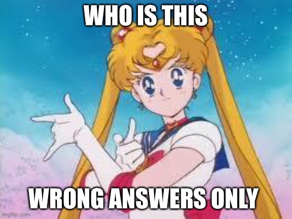 Sailor Moon Punishes | WHO IS THIS; WRONG ANSWERS ONLY | image tagged in sailor moon punishes | made w/ Imgflip meme maker