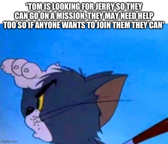 so yeah | *TOM IS LOOKING FOR JERRY SO THEY CAN GO ON A MISSION, THEY MAY NEED HELP TOO SO IF ANYONE WANTS TO JOIN THEM THEY CAN* | image tagged in tom looking for something | made w/ Imgflip meme maker