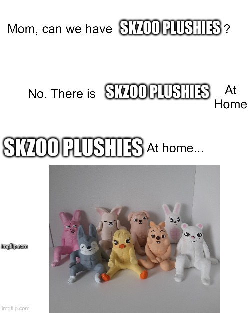 Mom can we have | SKZOO PLUSHIES; SKZOO PLUSHIES; SKZOO PLUSHIES | image tagged in mom can we have,skzoo,cursed image | made w/ Imgflip meme maker
