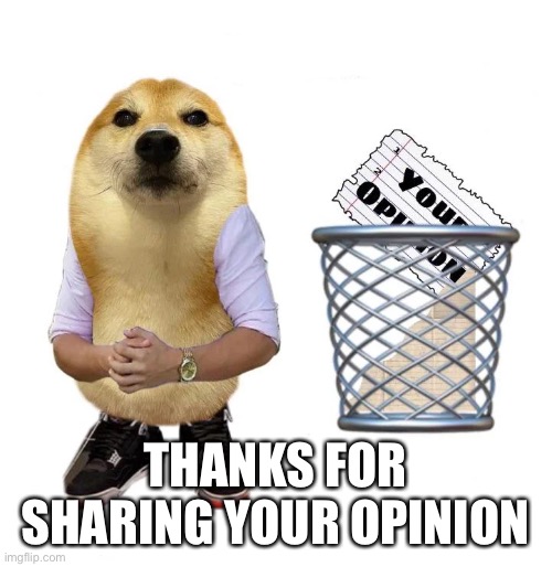 Thanks for sharing your opinion | THANKS FOR SHARING YOUR OPINION | image tagged in thanks for sharing your opinion | made w/ Imgflip meme maker