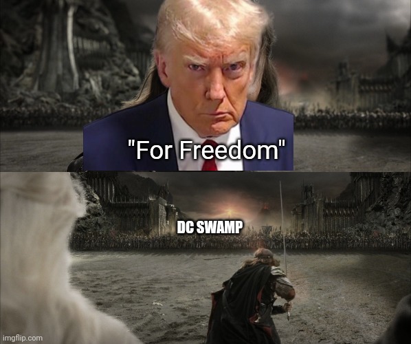 Lol they done did it now | "For Freedom"; DC SWAMP | image tagged in aragorn black gate for frodo,trump,trump mugshot,dc,drain the swamp | made w/ Imgflip meme maker