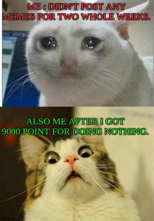 Kitty surprised. | ME : DIDN'T POST ANY MEMES FOR TWO WHOLE WEEKS. ALSO ME AFTER I GOT 9000 POINT FOR DOING NOTHING. | image tagged in crying cat,memes,scared cat | made w/ Imgflip meme maker