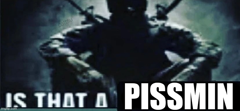 IS THAT A | PISSMIN | image tagged in is that a | made w/ Imgflip meme maker