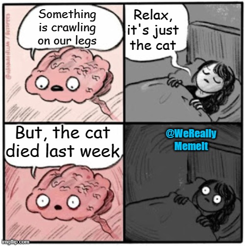 Brain Before Sleep | Relax, it's just the cat; Something is crawling on our legs; But, the cat died last week; @WeReally
MemeIt | image tagged in brain before sleep | made w/ Imgflip meme maker