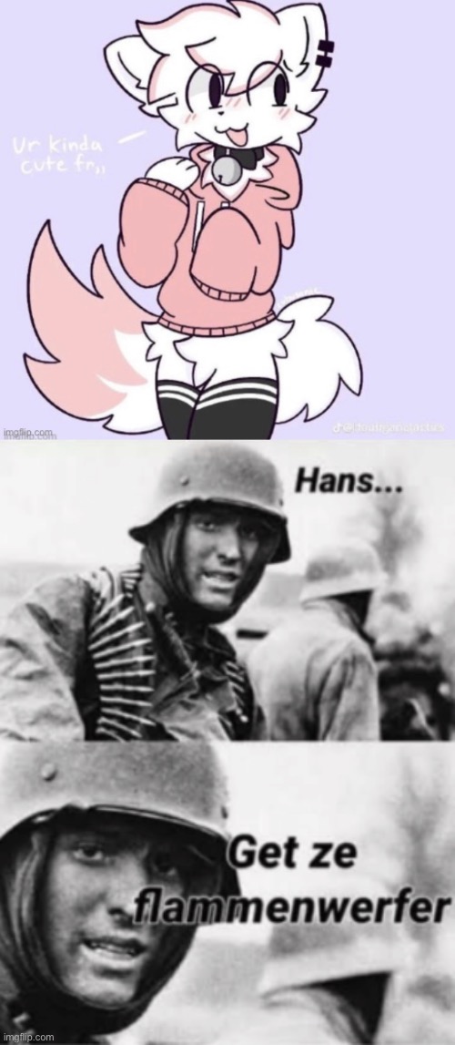 image tagged in hans get ze flammenwerfer | made w/ Imgflip meme maker