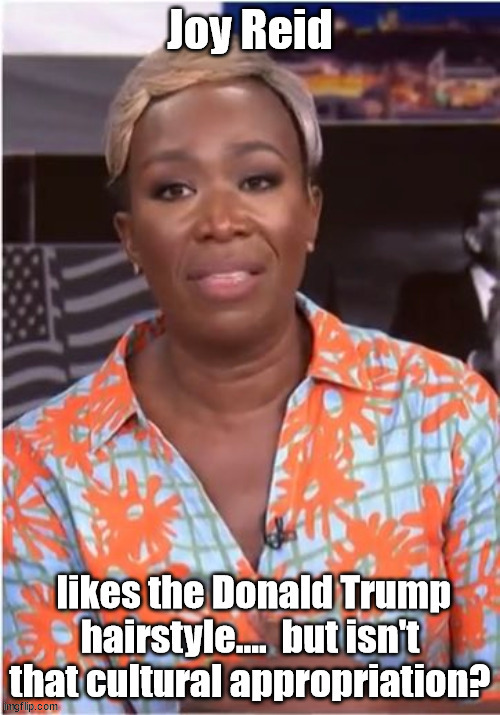 Joy Reid likes Donald Trumps hair. | image tagged in funny | made w/ Imgflip meme maker