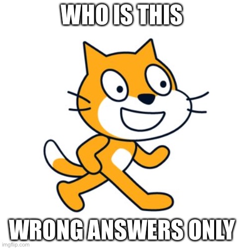 Scratch cat | WHO IS THIS; WRONG ANSWERS ONLY | image tagged in scratch cat | made w/ Imgflip meme maker