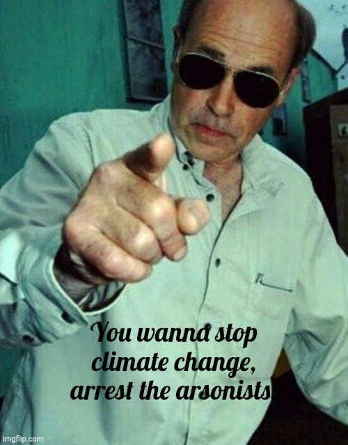 Problem solved. | You wanna stop climate change, arrest the arsonists. | image tagged in problem solving | made w/ Imgflip meme maker