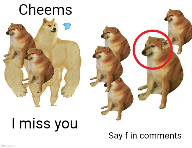 Buff Doge vs. Cheems | Cheems; I miss you; Say f in comments | image tagged in memes,buff doge vs cheems | made w/ Imgflip meme maker