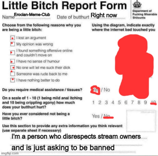 Little bitch report form | Erocian-Meme-Club; Right now; I'm a person who disrespects stream owners; and is just asking to be banned | image tagged in little bitch report form | made w/ Imgflip meme maker