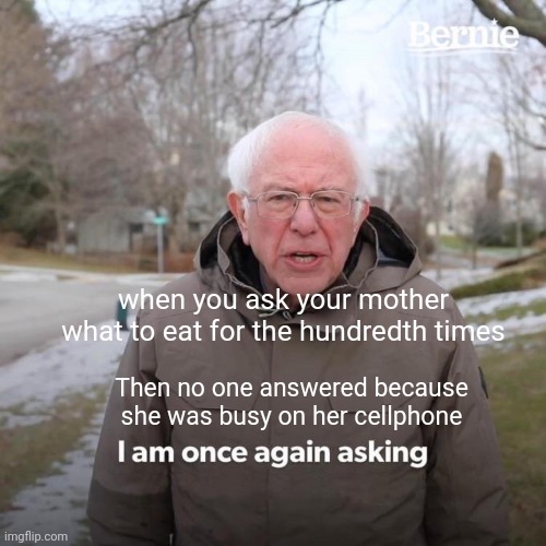 Bernie I Am Once Again Asking For Your Support Meme | when you ask your mother what to eat for the hundredth times; Then no one answered because she was busy on her cellphone | image tagged in memes,bernie i am once again asking for your support | made w/ Imgflip meme maker