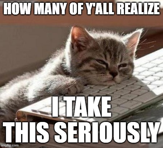 I take this seriously. Seriously! | HOW MANY OF Y'ALL REALIZE; I TAKE THIS SERIOUSLY | image tagged in tired cat | made w/ Imgflip meme maker