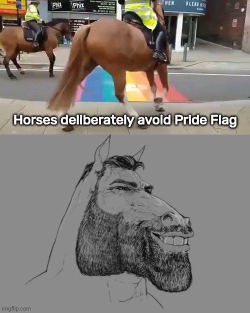 Just gonna go around. | Horses deliberately avoid Pride Flag | image tagged in memes | made w/ Imgflip meme maker